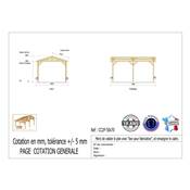 Abri 2 pentes Bois Douglas France Carport Auvent Camping-car 500x700cm H 320cm
