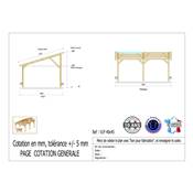 Abri 1 pente Bois Douglas France Carport Auvent voiture 400x450cm H 250cm