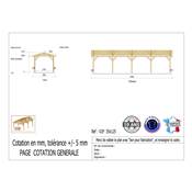 Abri 2 pentes Bois Douglas France Carport Auvent voiture 350x1250cm H 250cm