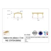 Abri 2 pentes Bois Douglas France Carport Auvent voiture 500x550cm H 250cm