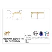 Abri 2 pentes Adossé Bois Douglas France Carport Auvent voiture 500x600cm H 250cm