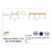 Abri 2 pentes Faitage Décalé Bois Douglas France Carport Auvent voiture 500x800cm H 250cm