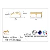 Abri 2 pentes Faitage Décalé Bois Douglas France Carport Auvent voiture 600x500cm H 250cm