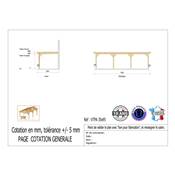 Abri Toit Plat Adossé Bois Douglas France Carport Auvent voiture 350x950cm H 250cm