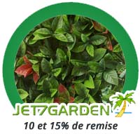 10 et 15% de remise sur le matériel d'occultation, brises vues, canisses, feuillage artificiels en haies, treillis, ou plaques... chez Bricommerce