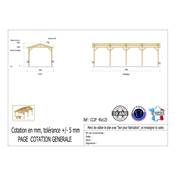 Abri 2 pentes Bois Douglas France Carport Auvent Camping-car 450x1250cm H 320cm
