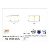 Abri Toit Plat Bois Douglas France Carport Auvent Camping-car 500x650cm H 320cm
