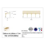 Abri 1 pente Adossé Bois Douglas France Carport Auvent voiture 300x1150cm H 250cm