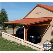 Abri 1 pente Adossé Bois Douglas France Carport Auvent voiture 450x650cm H 250cm