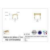 Abri 2 pentes Bois Douglas France Carport Auvent voiture 350x400cm H 250cm