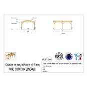 Abri 2 pentes Bois Douglas France Carport Auvent voiture 500x600cm H 250cm