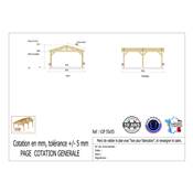 Abri 2 pentes Bois Douglas France Carport Auvent voiture 550x550cm H 250cm