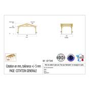 Abri 2 pentes Bois Douglas France Carport Auvent voiture 750x400cm H 250cm