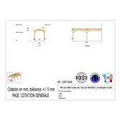 Abri 2 pentes Adossé Bois Douglas France Carport Auvent voiture 300x600cm H 250cm