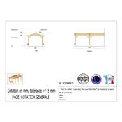 Abri 2 pentes Adossé Bois Douglas France Carport Auvent voiture 400x750cm H 250cm