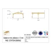 Abri 2 pentes Adossé Bois Douglas France Carport Auvent voiture 650x550cm H 250cm