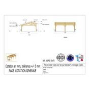 Abri 2 pentes Faitage Décalé Bois Douglas France Carport Auvent voiture 550x750cm H 250cm