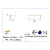 Abri Toit Plat Adossé Bois Douglas France Carport Auvent voiture 300x550cm H 250cm