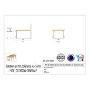 Abri Toit Plat Adossé Bois Douglas France Carport Auvent voiture 500x400cm H 250cm