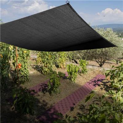 Toile d'ombrage potager et serre 4x5m oeillets 50cm filtre 75% 80 g/m2 noir