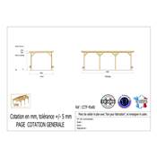 Abri Toit Plat Bois Douglas France Carport Auvent Camping-car 450x800cm H 320cm