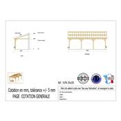 Abri 1 pente Adossé Bois Douglas France Carport Auvent voiture 350x1050cm H 250cm
