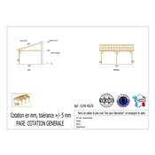 Abri 1 pente Adossé Bois Douglas France Carport Auvent voiture 450x700cm H 250cm