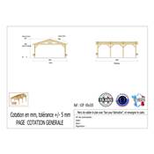 Abri 2 pentes Bois Douglas France Carport Auvent voiture 650x1050cm H 250cm