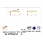 Abri 2 pentes Bois Douglas France Carport Auvent voiture 700x550cm H 250cm