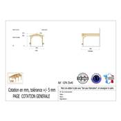 Abri 2 pentes Adossé Bois Douglas France Carport Auvent voiture 350x400cm H 250cm