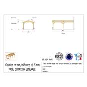 Abri 2 pentes Adossé Bois Douglas France Carport Auvent voiture 400x600cm H 250cm