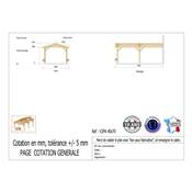 Abri 2 pentes Adossé Bois Douglas France Carport Auvent voiture 400x700cm H 250cm