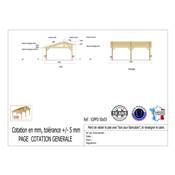 Abri 2 pentes Faitage Décalé Bois Douglas France Carport Auvent voiture 500x550cm H 250cm