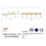 Abri 2 pentes Faitage Décalé Bois Douglas France Carport Auvent voiture 600x1250cm H 250cm
