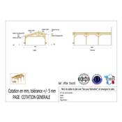 Abri 2 pentes Faitage Décalé Adossé Bois Douglas France Carport Auvent voiture 550x1050cm H 250cm