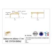 Abri 2 pentes Faitage Décalé Adossé Bois Douglas France Carport Auvent voiture 550x600cm H 250cm