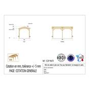 Abri 2 pentes Bois Douglas France Carport Auvent Camping-car 400x700cm H 320cm