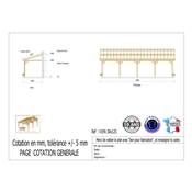 Abri 1 pente Adossé Bois Douglas France Carport Auvent voiture 300x1250cm H 250cm