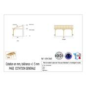 Abri 1 pente Adossé Bois Douglas France Carport Auvent voiture 350x650cm H 250cm