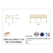 Abri 1 pente Adossé Bois Douglas France Carport Auvent voiture 400x950cm H 250cm