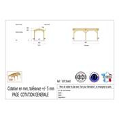 Abri 2 pentes Bois Douglas France Carport Auvent voiture 300x600cm H 250cm