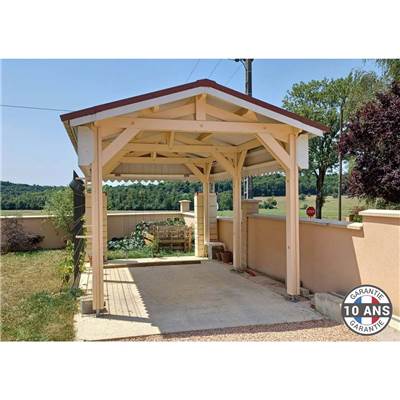 Abri 2 pentes Bois Douglas France Carport Auvent voiture 300x700cm H 250cm