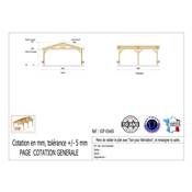 Abri 2 pentes Bois Douglas France Carport Auvent voiture 650x600cm H 250cm