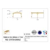 Abri 2 pentes Adossé Bois Douglas France Carport Auvent voiture 550x550cm H 250cm