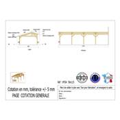 Abri 2 pentes Faitage Décalé Adossé Bois Douglas France Carport Auvent voiture 500x1150cm H 250cm