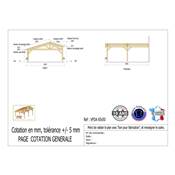 Abri 2 pentes Faitage Décalé Adossé Bois Douglas France Carport Auvent voiture 650x500cm H 250cm