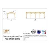 Abri 2 pentes Bois Douglas France Carport Auvent Camping-car 500x1250cm H 320cm