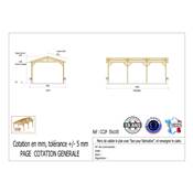 Abri 2 pentes Bois Douglas France Carport Auvent Camping-car 550x1050cm H 320cm