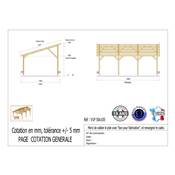 Abri 1 pente Bois Douglas France Carport Auvent voiture 500x1050cm H 250cm