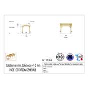 Abri 2 pentes Bois Douglas France Carport Auvent voiture 300x400cm H 250cm